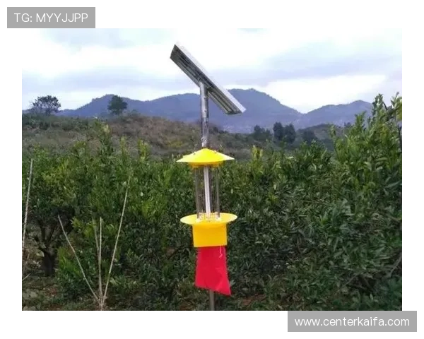 K8凯发真人平台积极响应国家政策，打造绿色安全的线上娱乐新生态