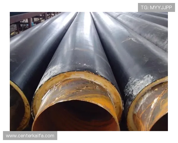 凯发直播官网首页详细功能解析与操作流程，提升你的直播体验与互动效果